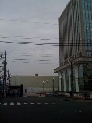 20100227_01.jpg